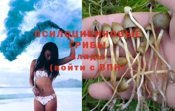 наркотики Снежногорск