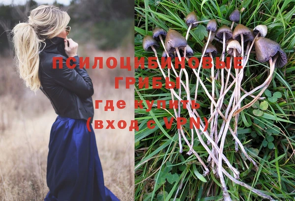 прущий лед Белокуриха