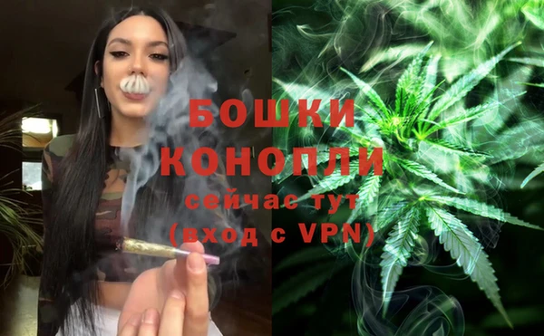 прущий лед Белокуриха