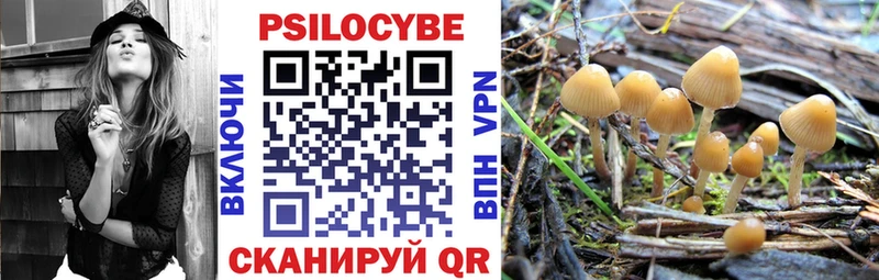 Галлюциногенные грибы Magic Shrooms  Тосно 